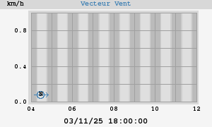 Wind Vector