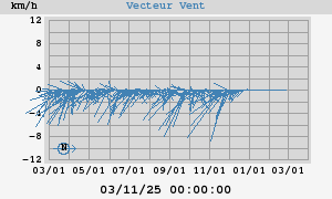 Wind Vector